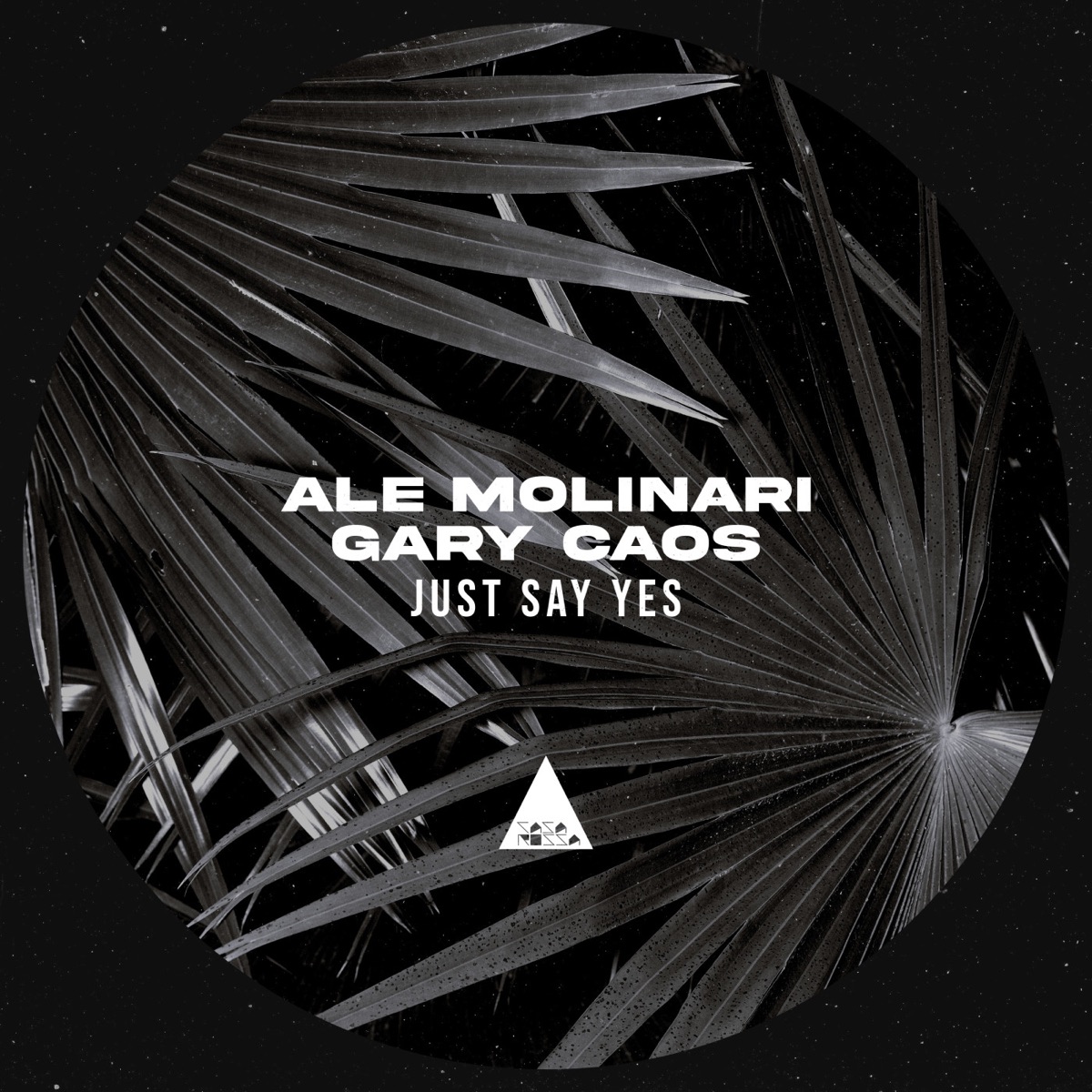 Just Say Yes - Single by Ale Molinari & Gary Caos album cover
