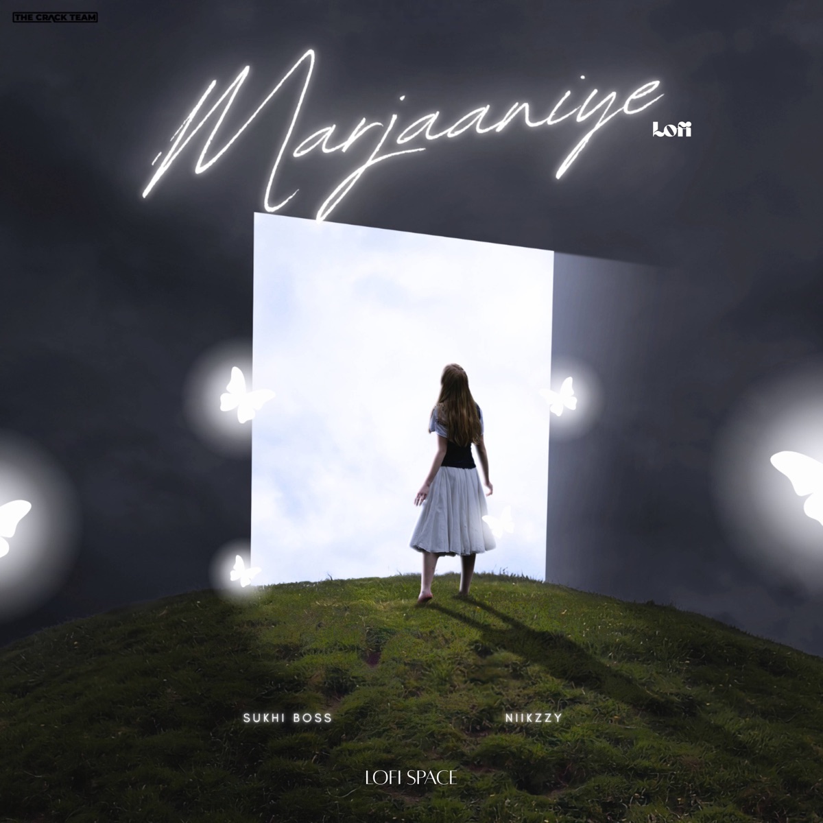 Marjaaniye (Lofi) - Single by Sukhi Boss, Niikzzy & Lofi Space album cover