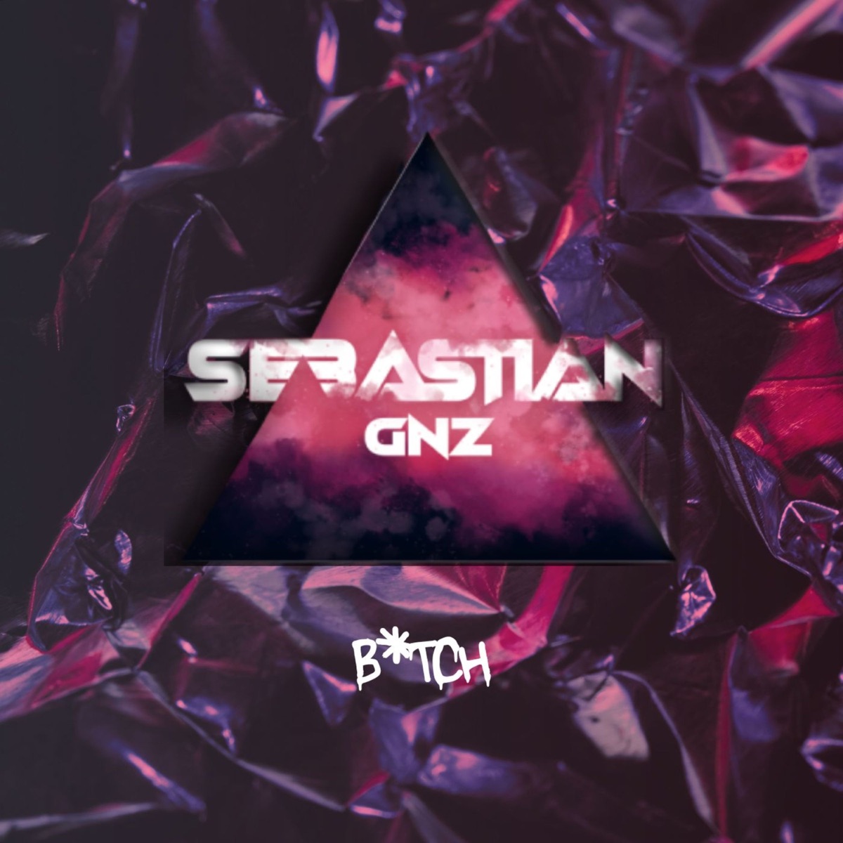 B*tch - Single by Sebastian Gnz album cover