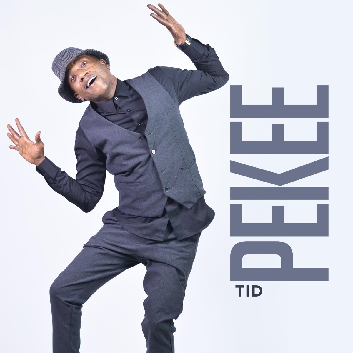 Mtanzania (Pekee) - Single by TID album cover