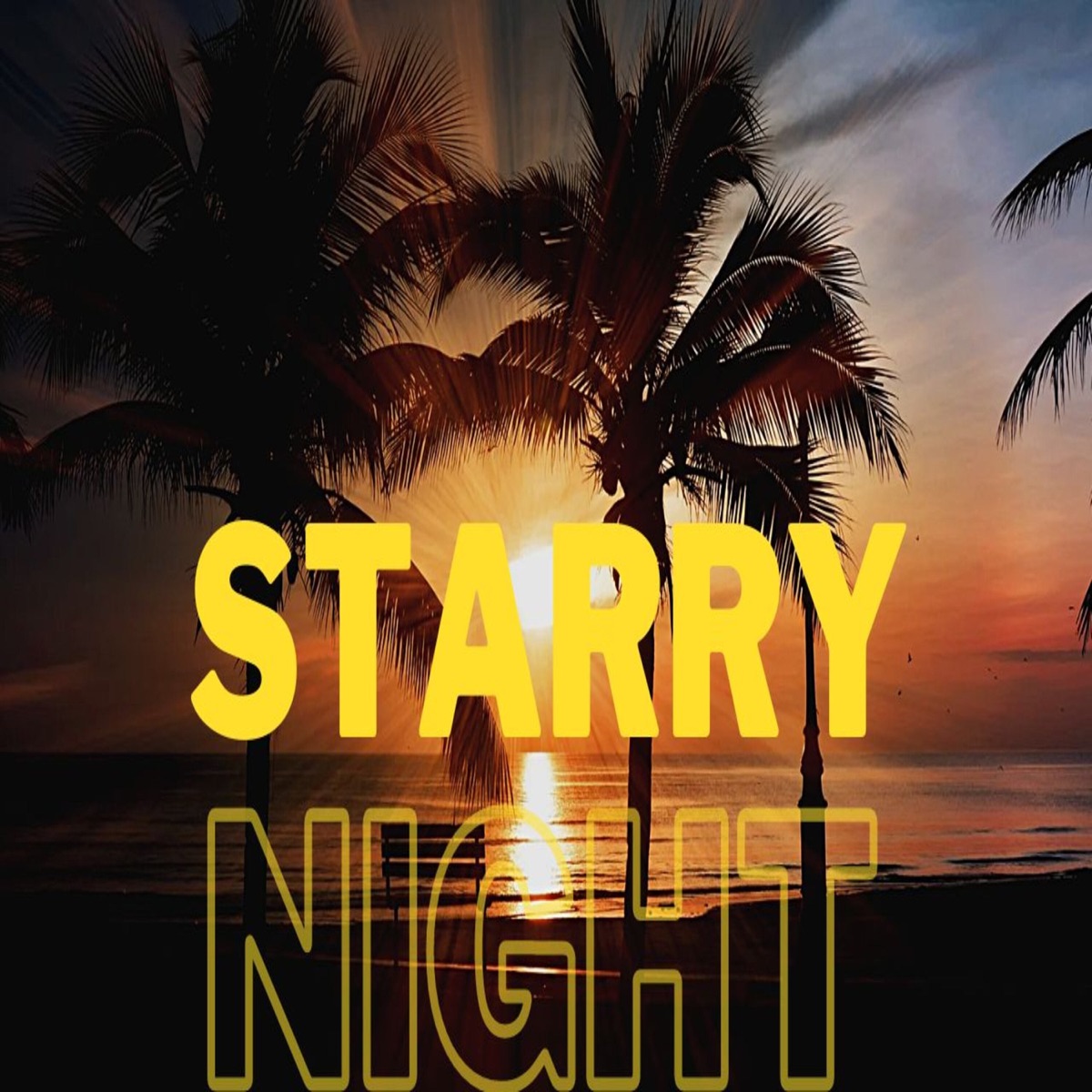 Starry Night - Single by Airo Music album cover