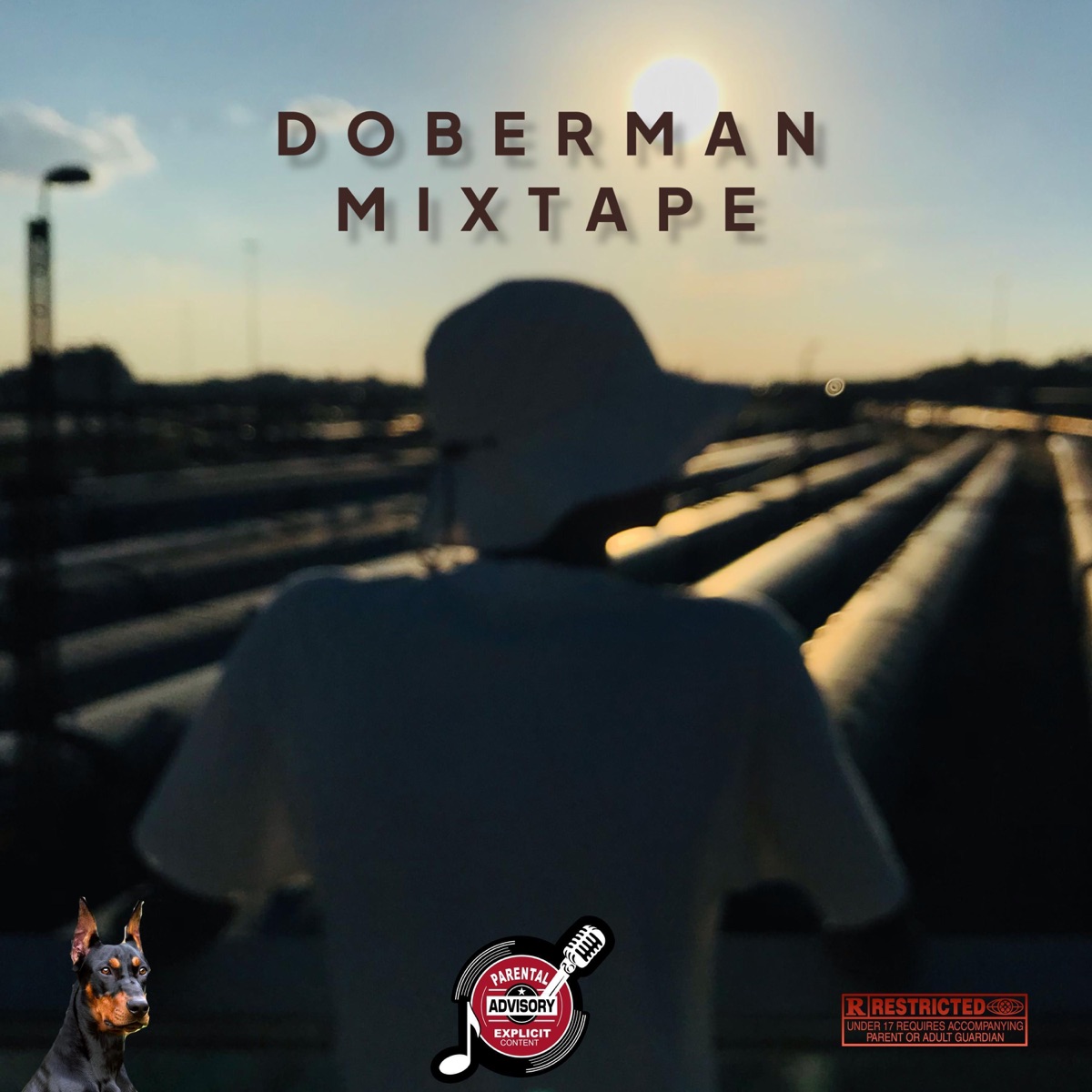 DoberMaN MixTapE by Permanent Silence album cover