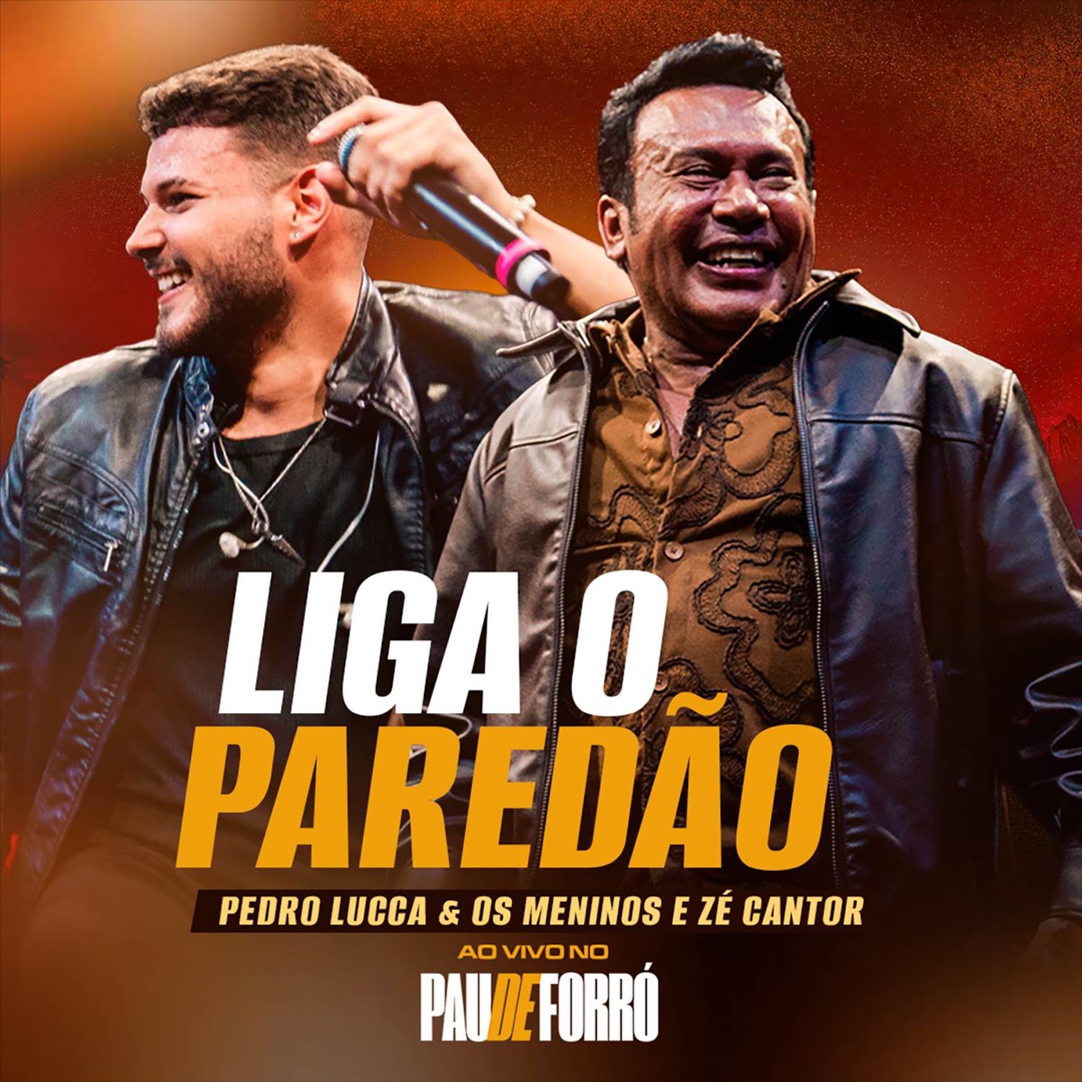 Liga o Paredão (Ao Vivo no Pau de Forró) - Single by Pedro Lucca & Os Meninos & Zé Cantor album cover
