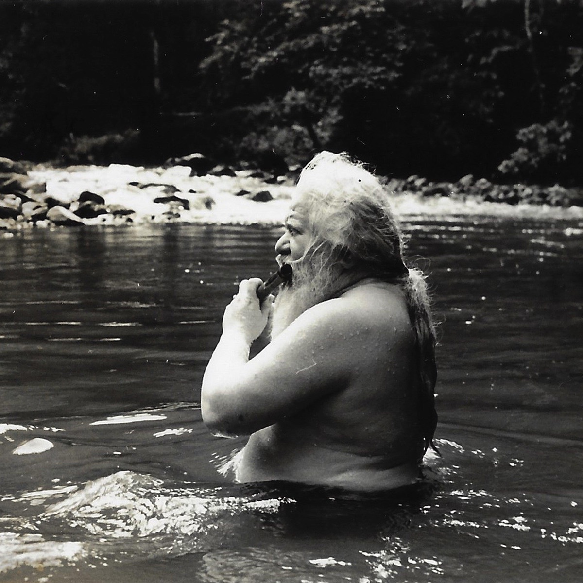 Música da Lagoa (feat. Itiberê Zwarg, Jovino Santos Neto, Carlos Malta & Marcio Bahia) - Single by Hermeto Pascoal album cover