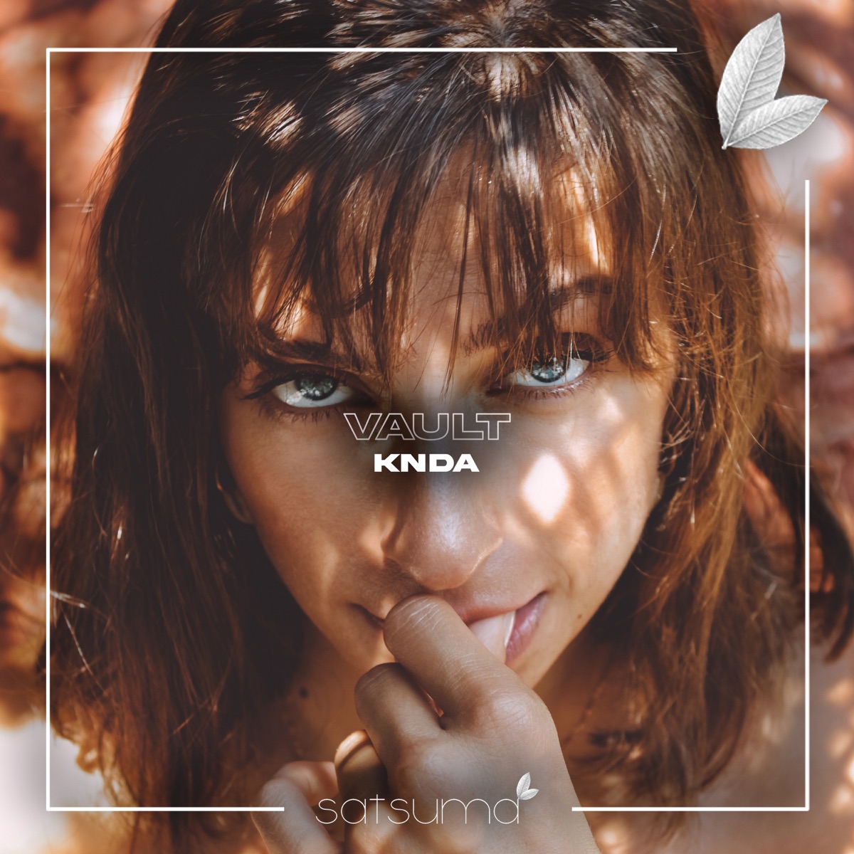 Vault - Single by KNDA album cover