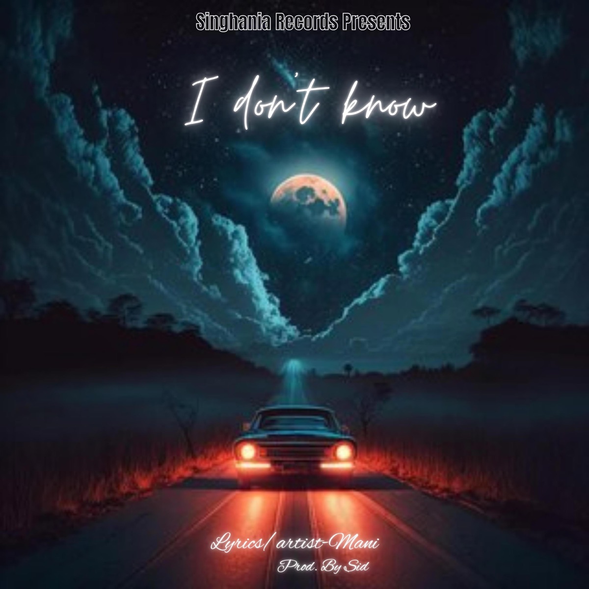 I Dont Know - Single by Mani Singhania album cover