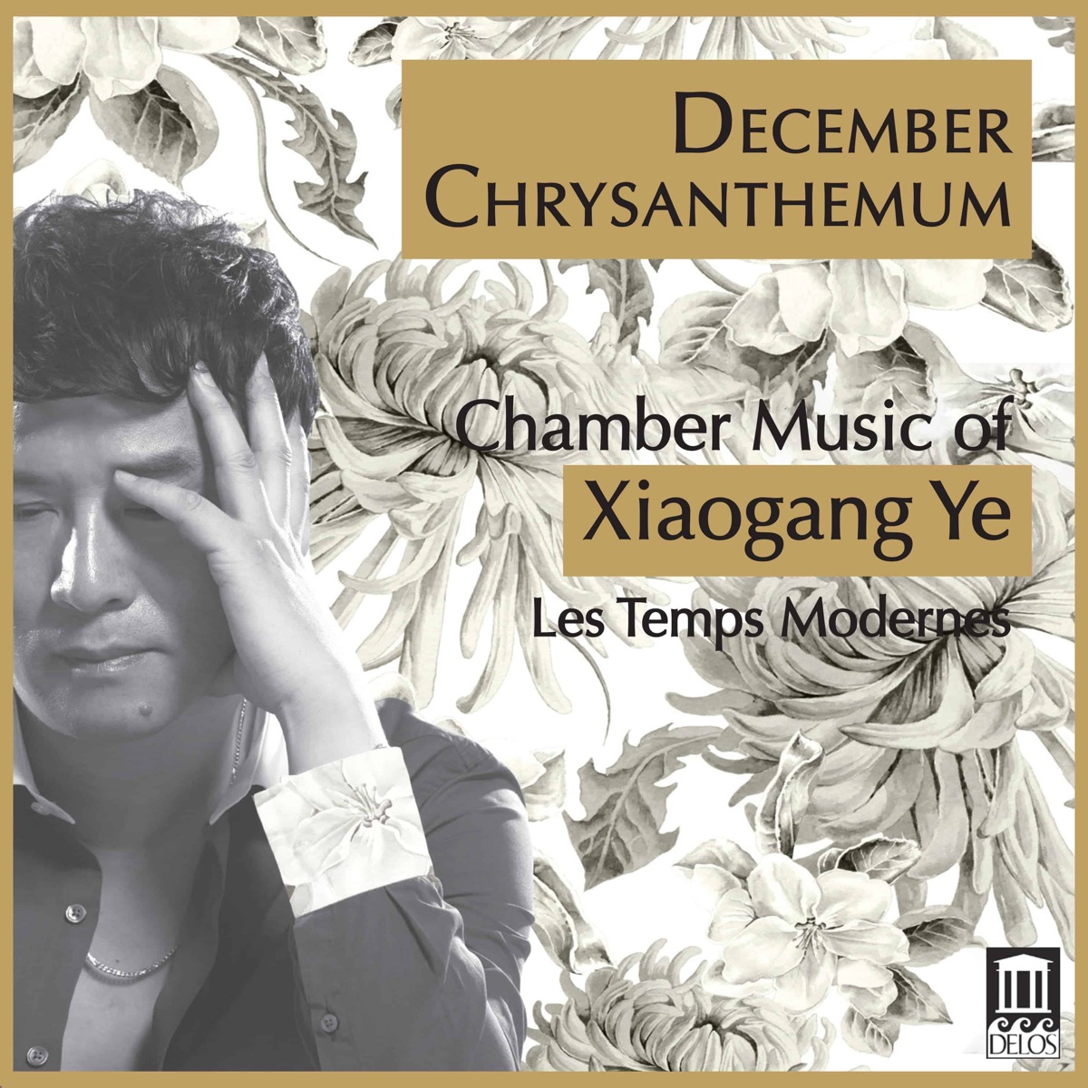 December Chrysanthemum by Les Temps modernes & Fabrice Pierre album cover
