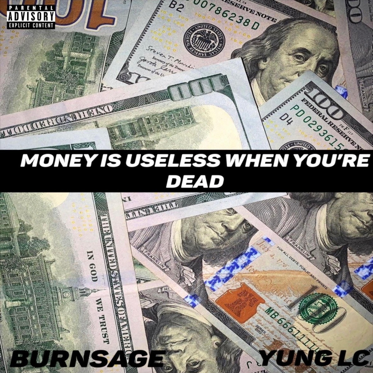 MONEY IS USELESS WHEN YOU'RE DEAD - Single by Chemical Imbalance, burnsage & Yung LC album cover