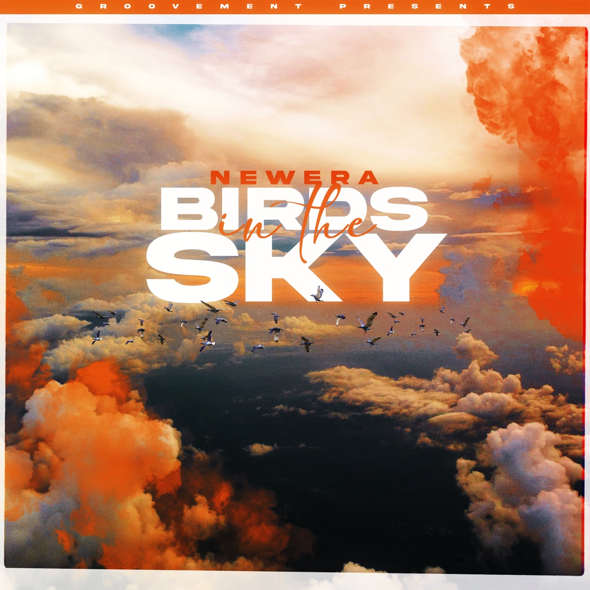 Birds In The Sky (Protein Bor Remix) - Single by NewEra & James Doyle album cover