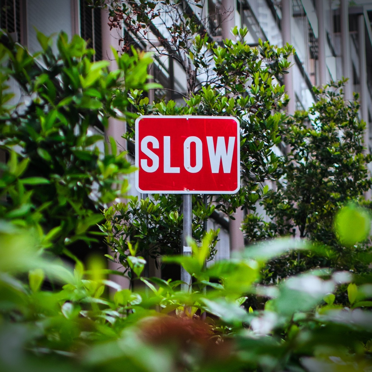 Slow - Single by Standley Johnson & Skill Syrup album cover
