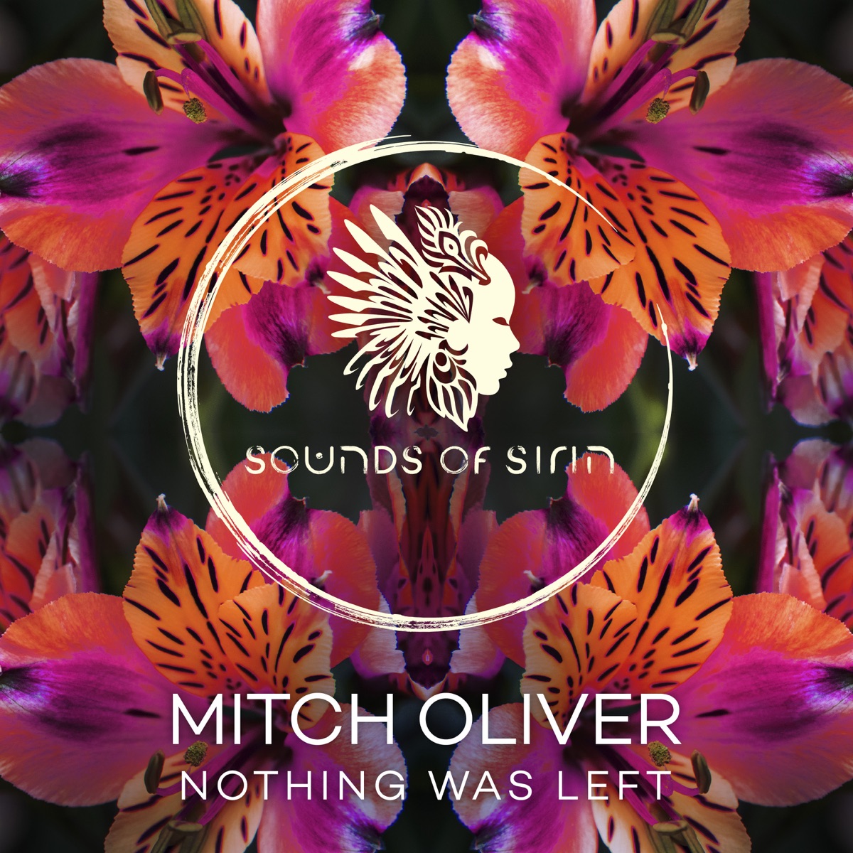 Nothing Was Left - Single by Mitch Oliver album cover