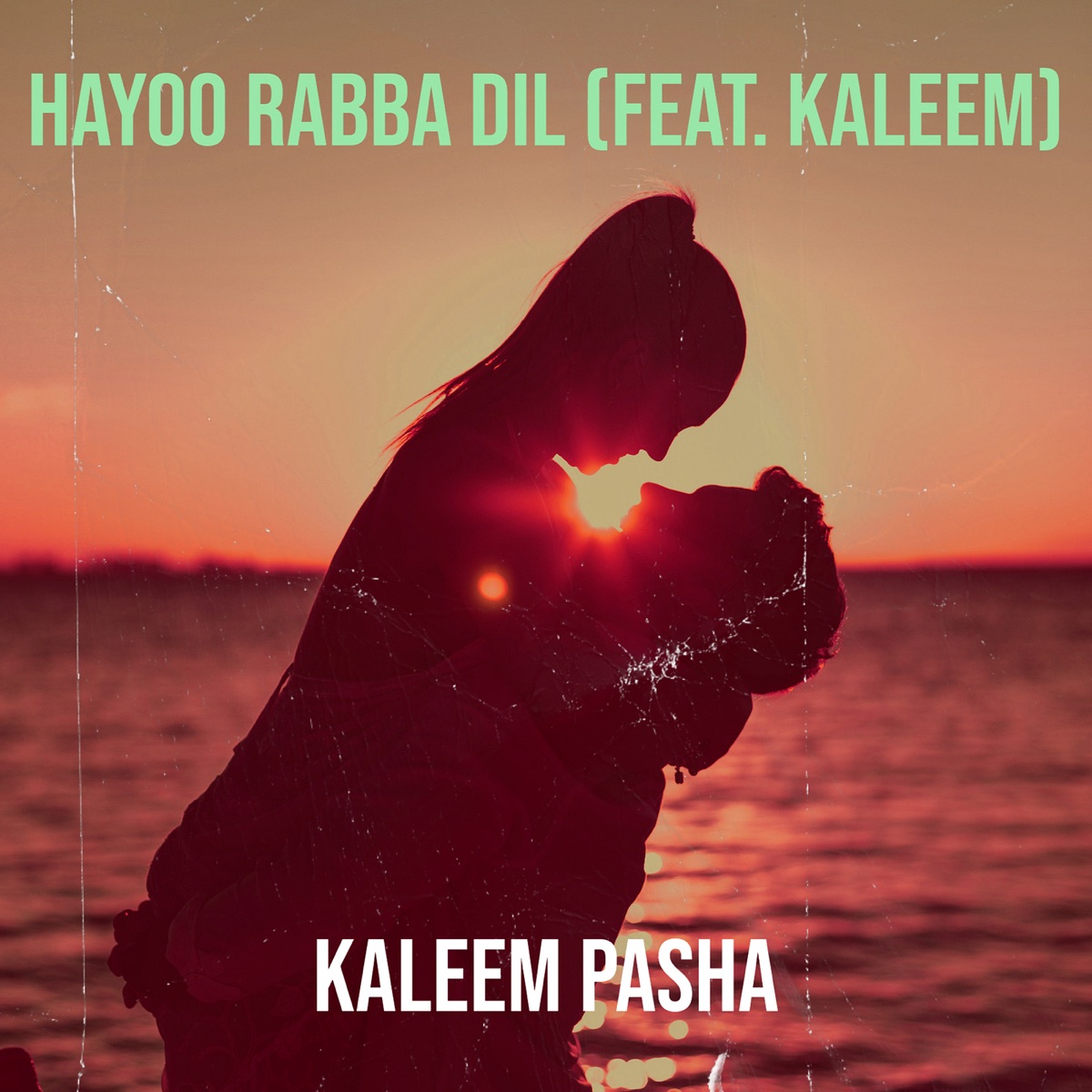 Hayoo Rabba Dil (feat. Kaleem) - Single by Kaleem Pasha album cover