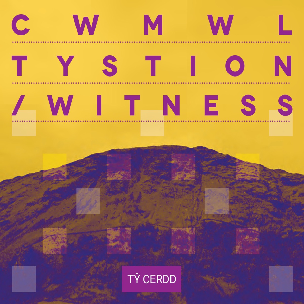 Cwmwl Tystion / Witness by Tomos Williams album cover