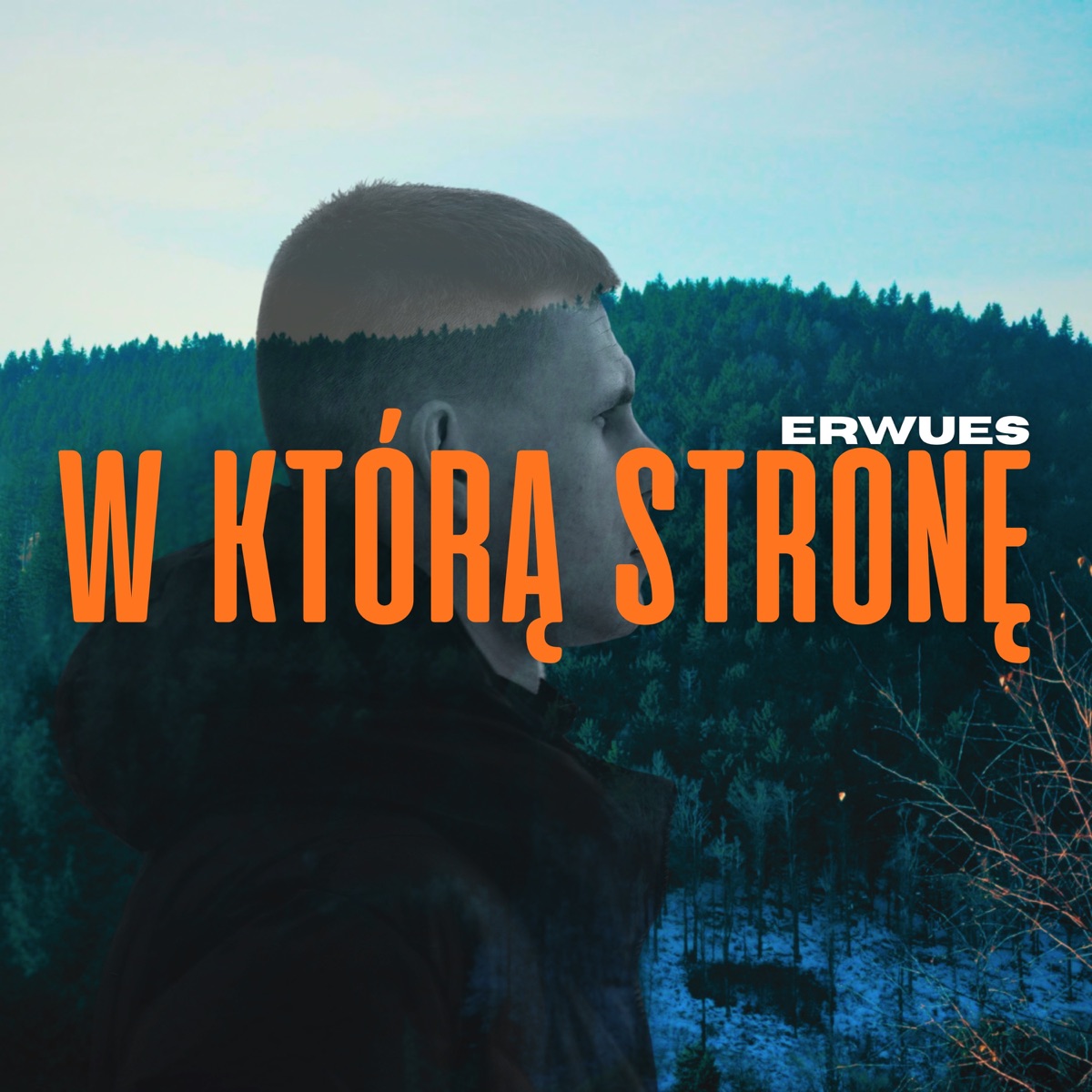 W którą stronę - Single by Erwues album cover