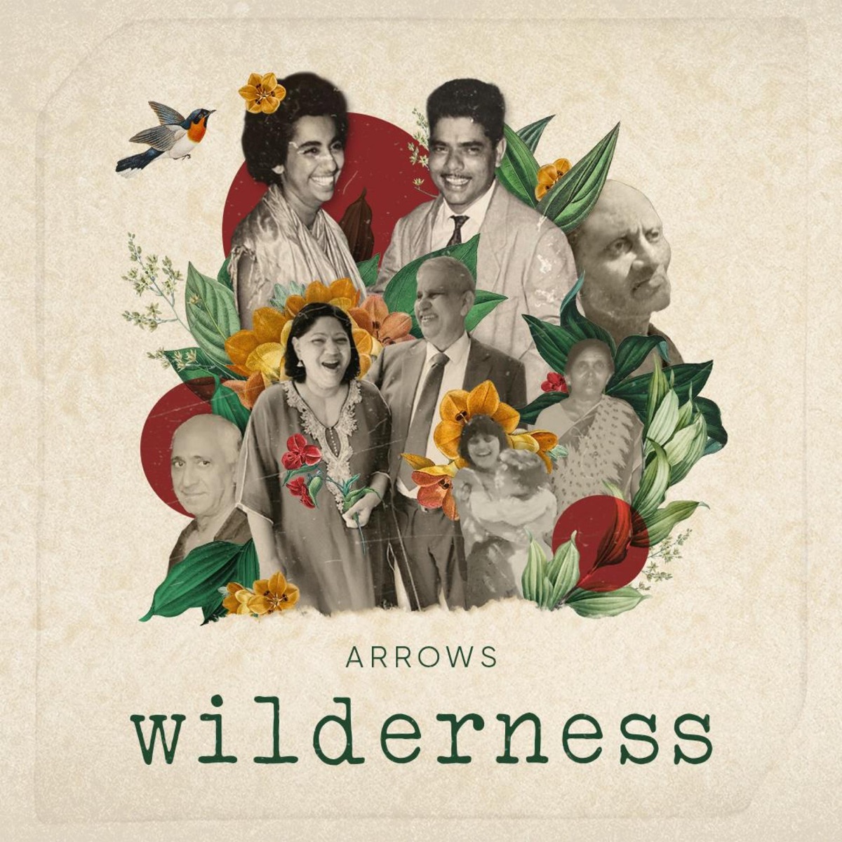 Wilderness (feat. Vernon Noronha) - EP by Arrows album cover