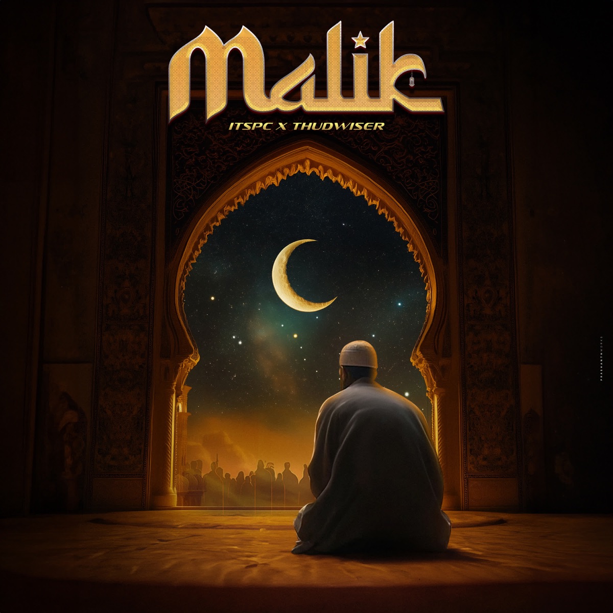 Malik - Single by ItsPC & ThudWiser album cover
