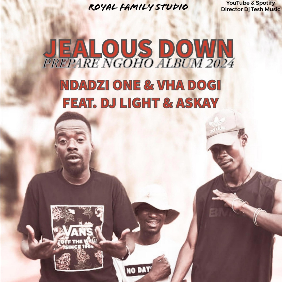 Jealous Down (feat. Ndadzi One, Vha Dogi, DJ Light & Askay) - Single by Director Dj Tesh Music album cover