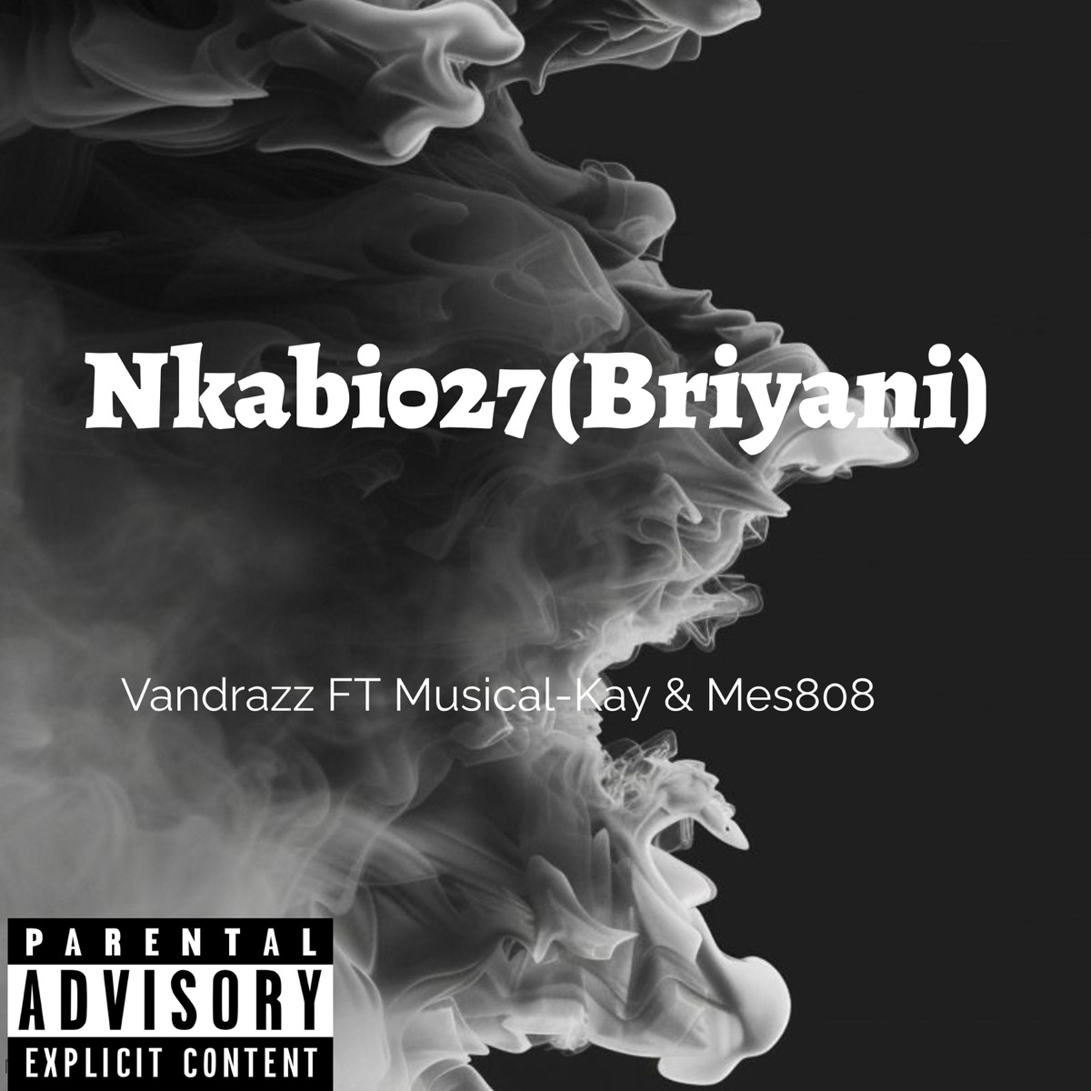 Nkabi027(Briyani) [feat. Musical-Kay & Mes808] - Single by Vandrazz album cover