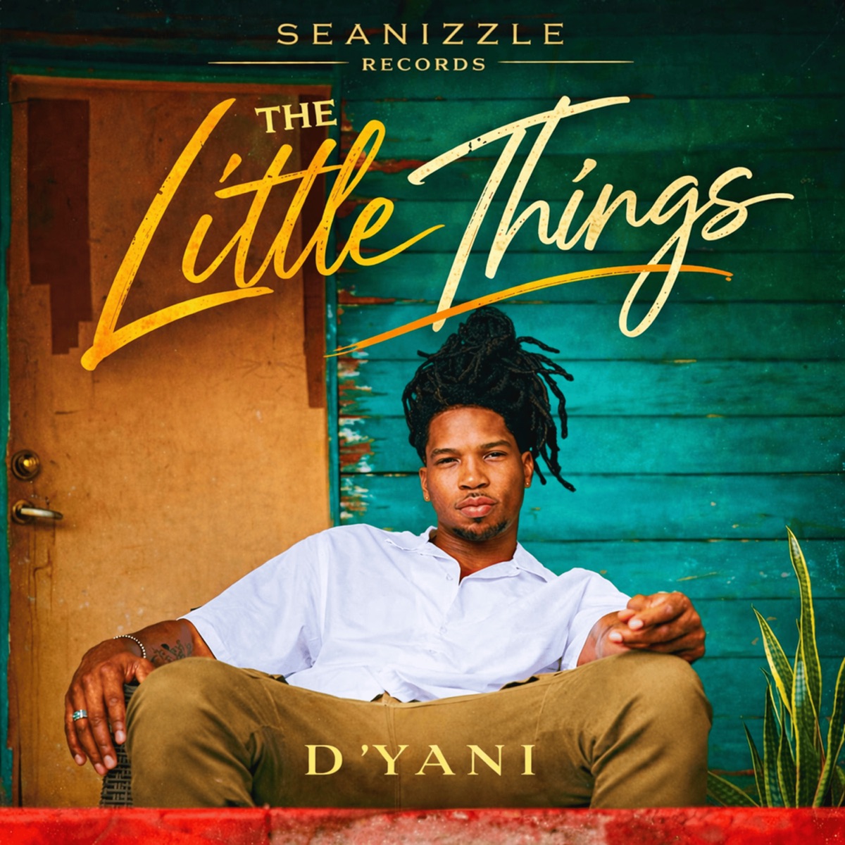The Little Things - Single by D'yani album cover