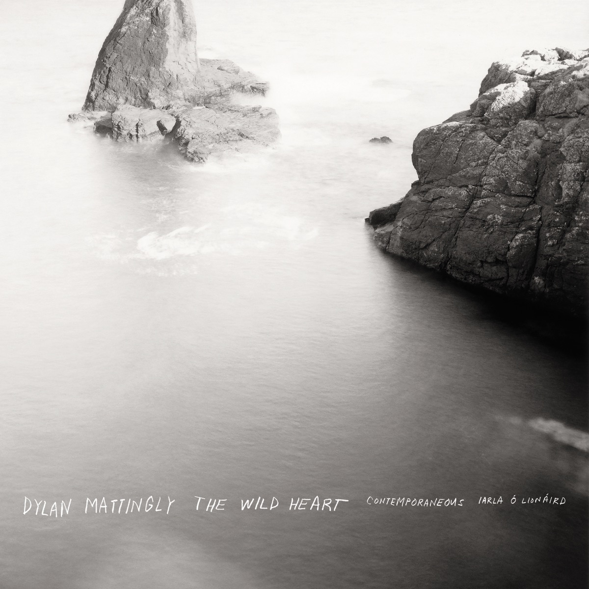 Dylan Mattingly: The Wild Heart (Complete) by David Bloom, Iarla Ó Lionáird & Contemporaneous album cover