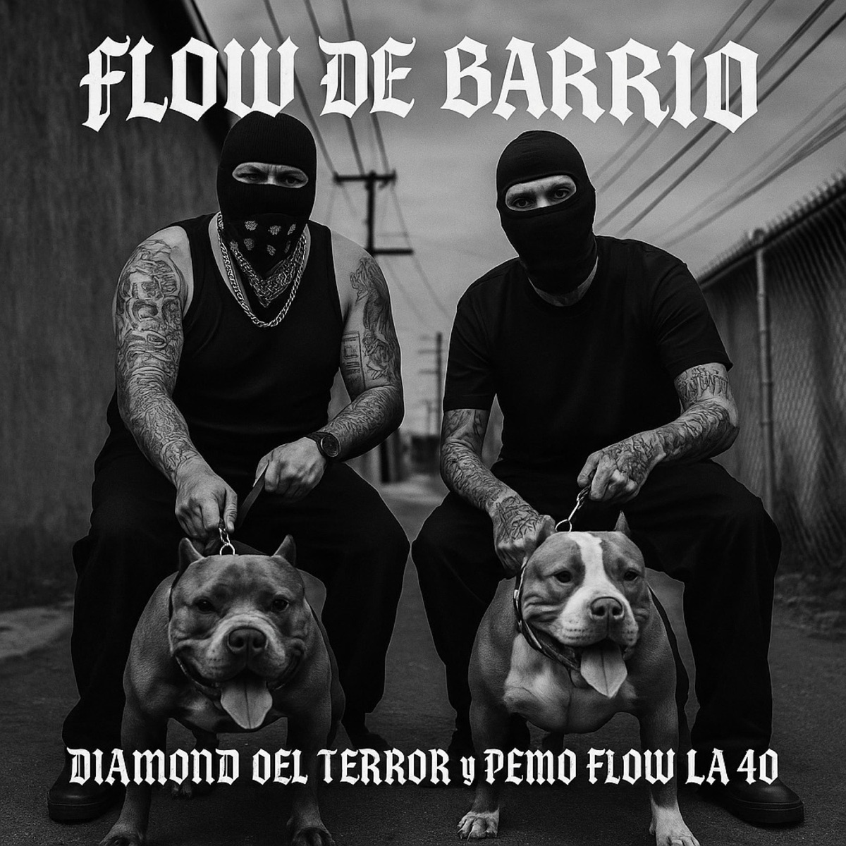 Flow de barrio (feat. Pemo Flow la 40) - Single by Diamond del terror album cover