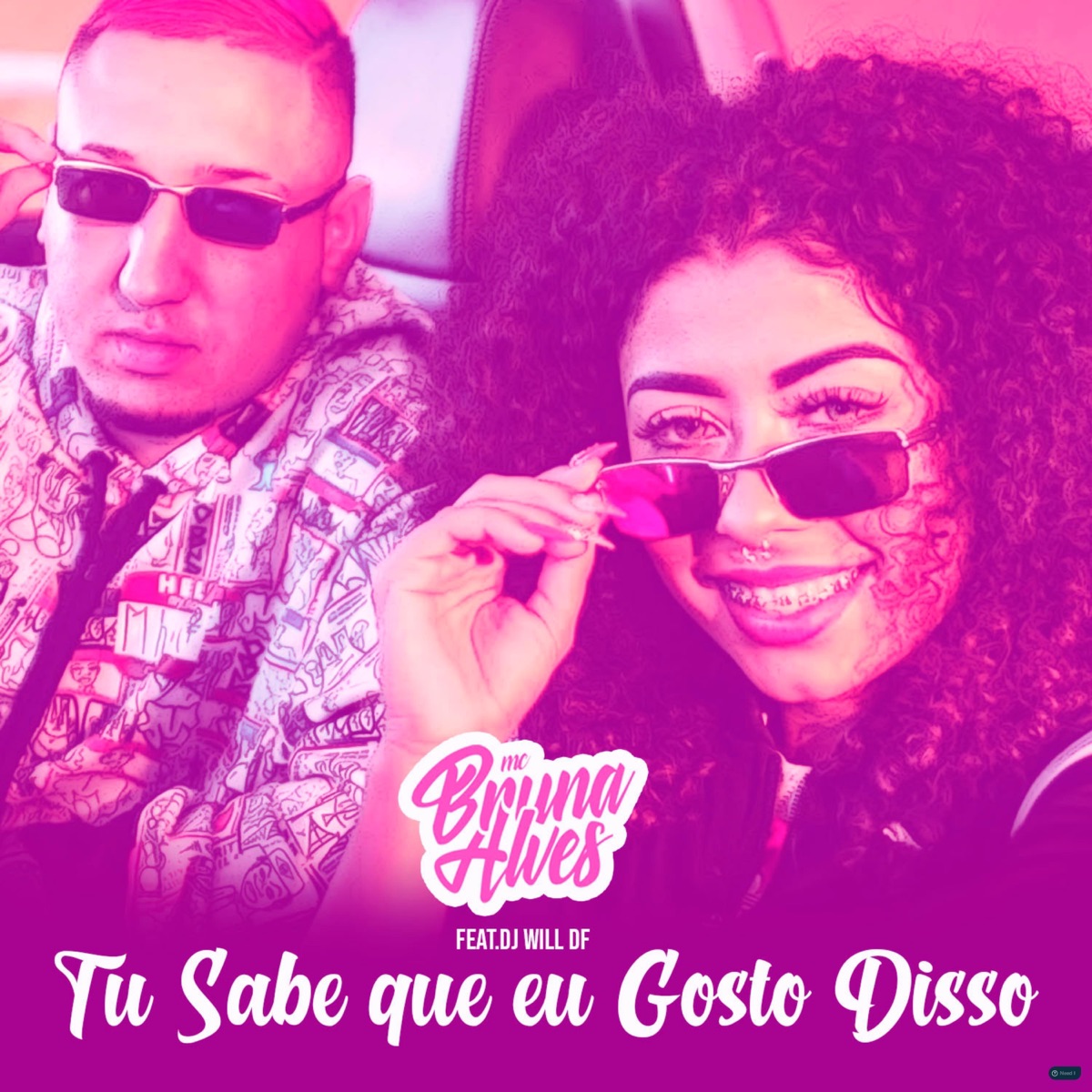 Tu Sabe Que Eu Gosto Disso (feat. Dj Will DF) - Single by MC Bruna Alves album cover