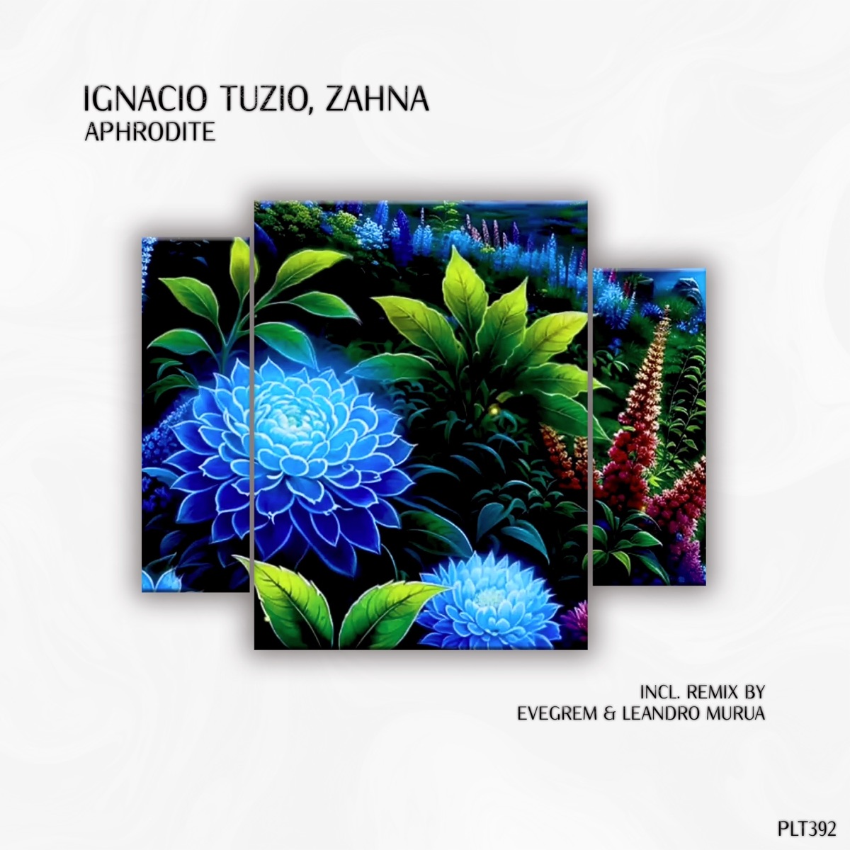 Aphrodite - Single by Ignacio Tuzio & ZAHNA album cover