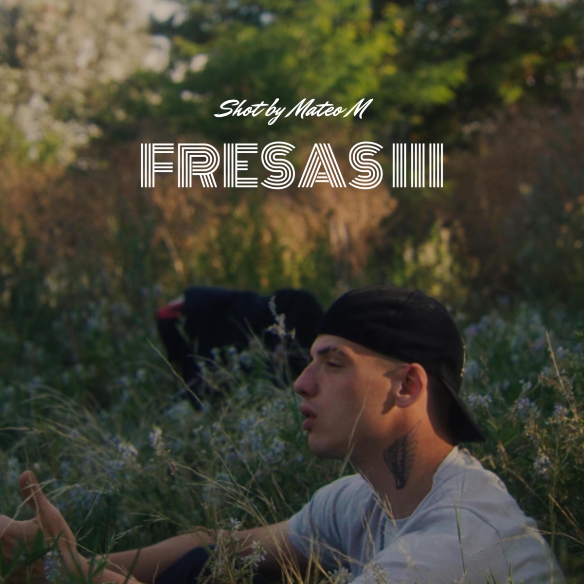 FRESAS III (feat. icody2077) - Single by Tiusec album cover