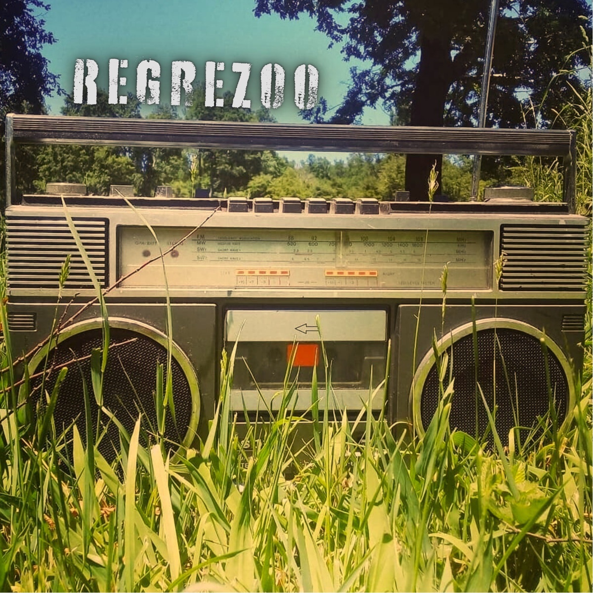 Regrezoo - Single by Tom D. Rocka & Subdialecto album cover