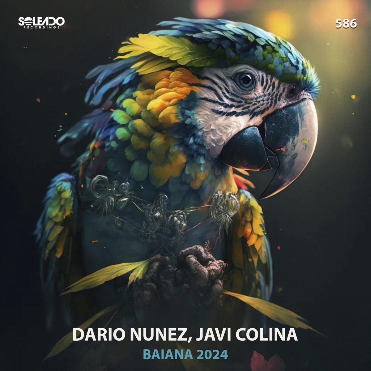 Baiana 2024 - Single by Dario Nunez & Javi Colina album cover