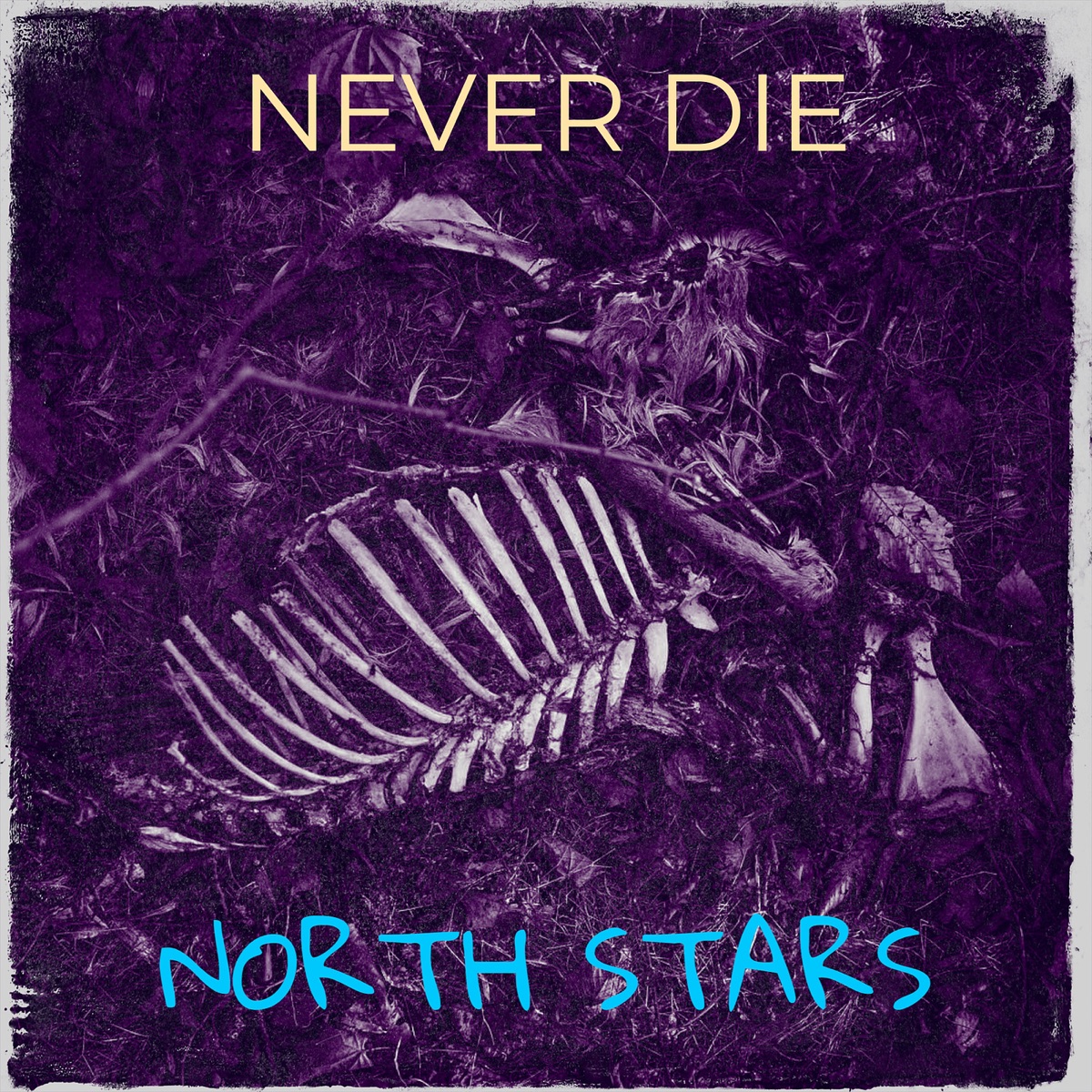 Never Die - Single by North Stars album cover