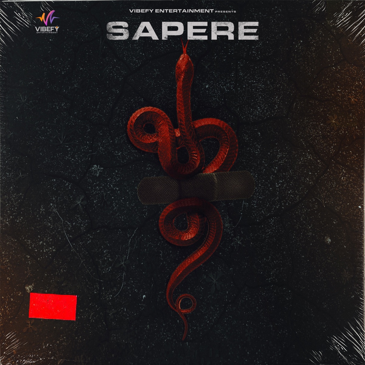 Sapere - Single by Mad Music & Vipul Kapoor album cover