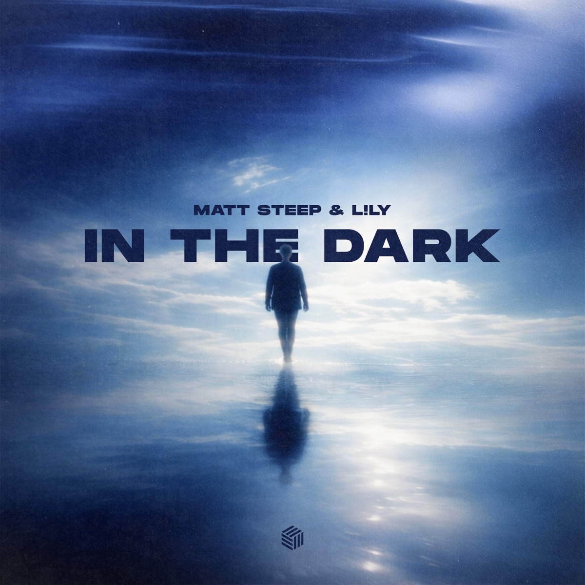 In the Dark - Single by Matt Steep & L!LY album cover