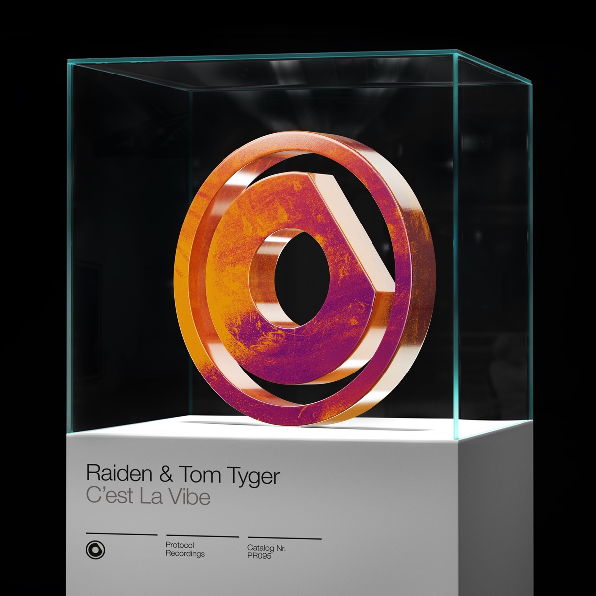 C'est La Vibe - Single by Raiden & Tom Tyger album cover