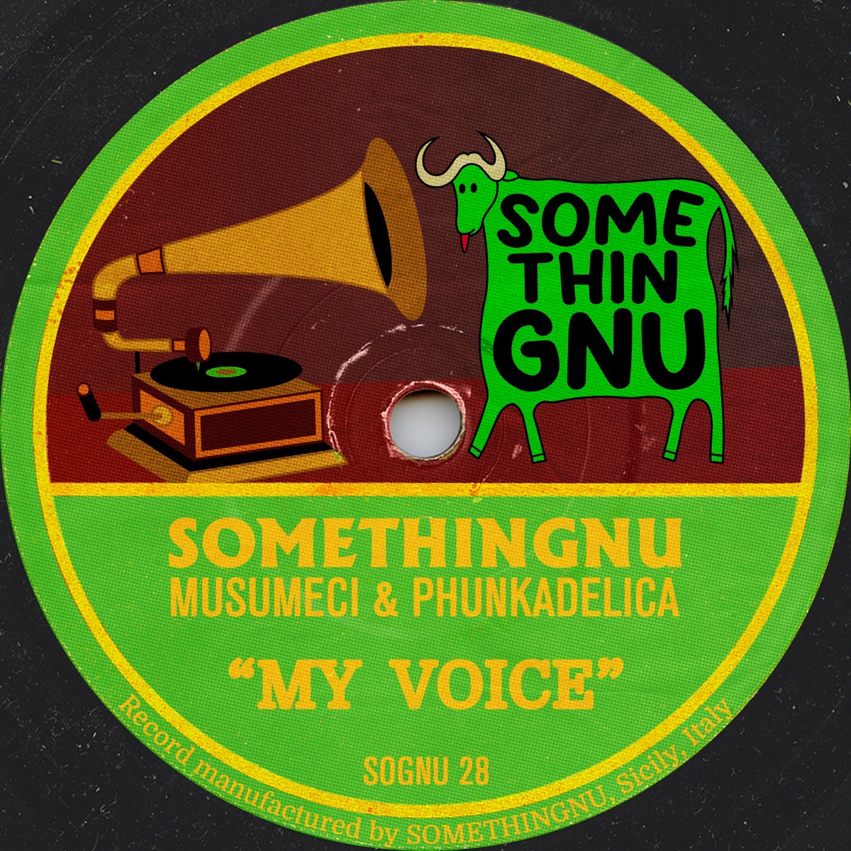My Voice - Single by Musumeci, Phunkadelica & Somethingnu album cover
