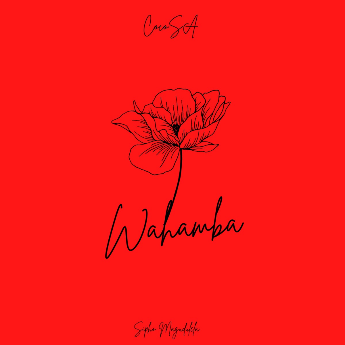 Wahamba (feat. Ssips & NeleSA) - Single by CocoSA & Sipho Magudulela album cover
