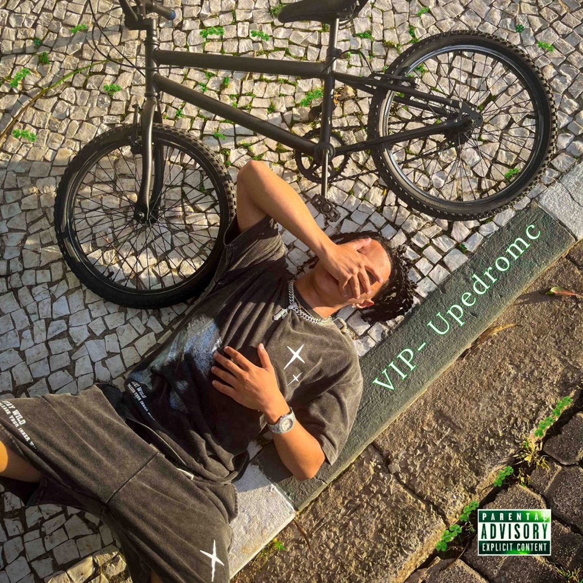 Vip - Single by Upedromc album cover