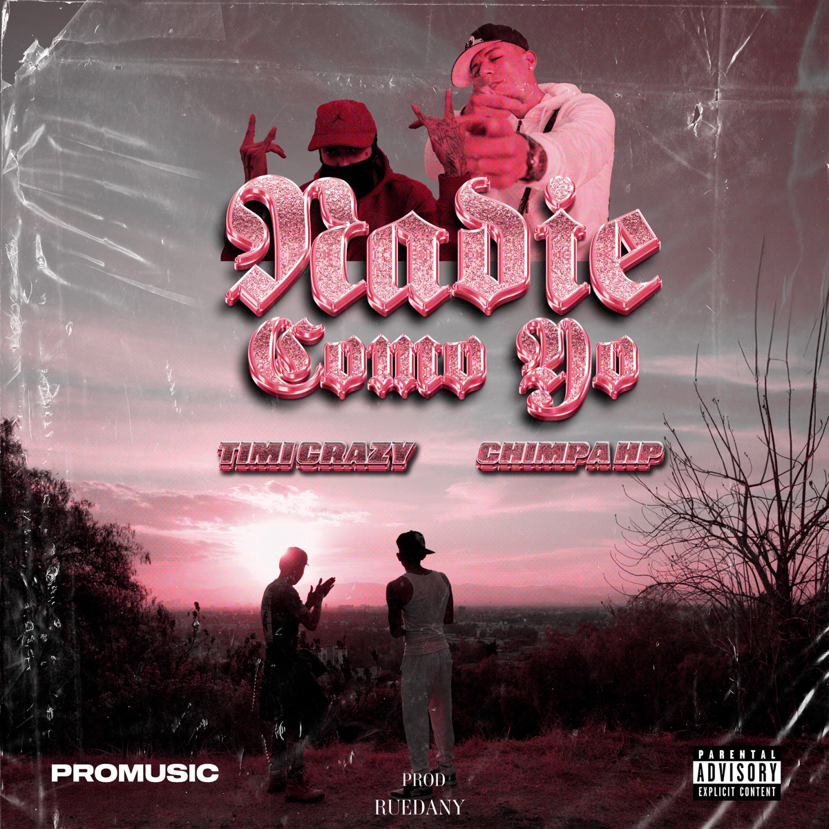 Nadie Como Yo - Single by Timi Crazy, Chimpa Hp & Ruedany album cover