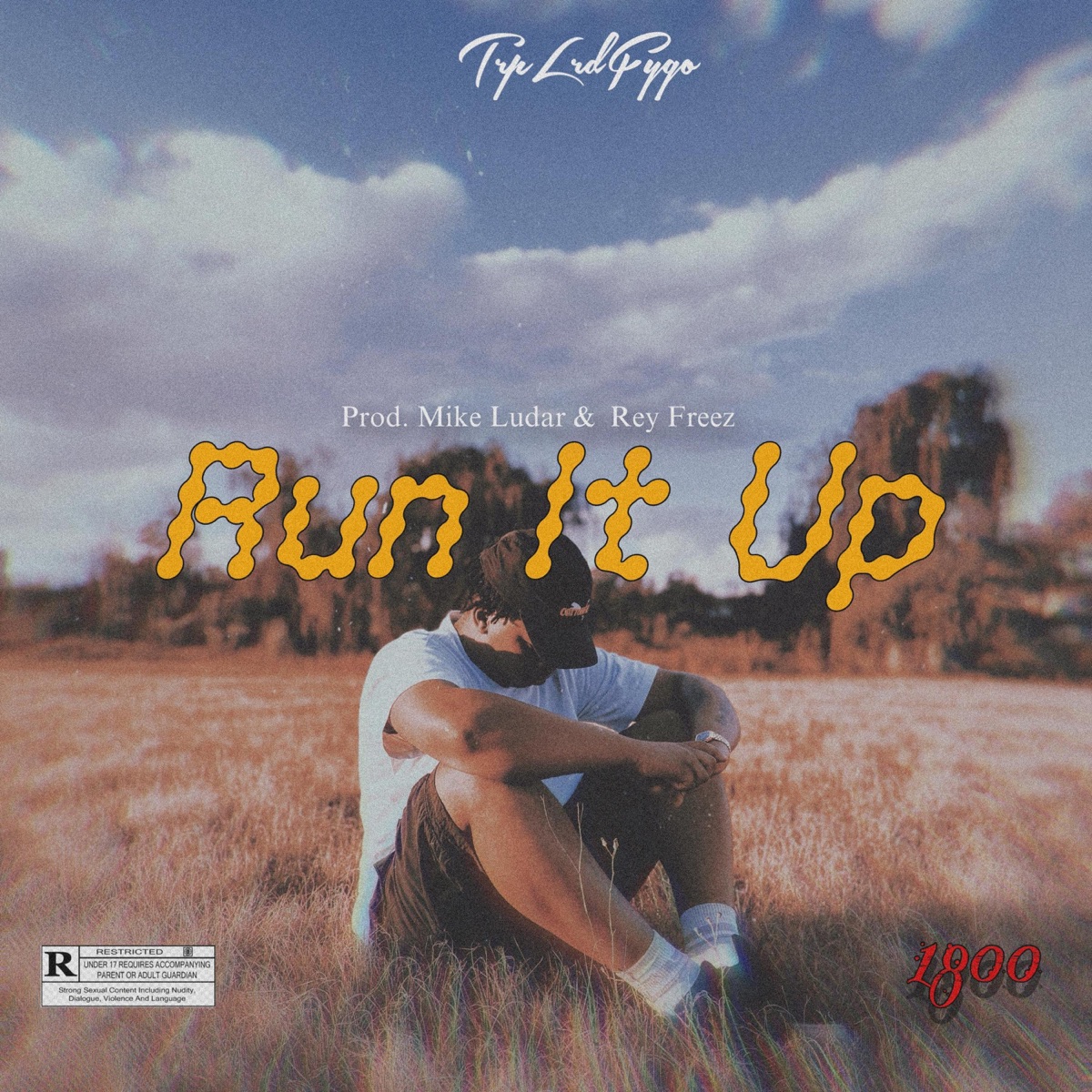 Run It Up - Single by Trplrdfygo album cover