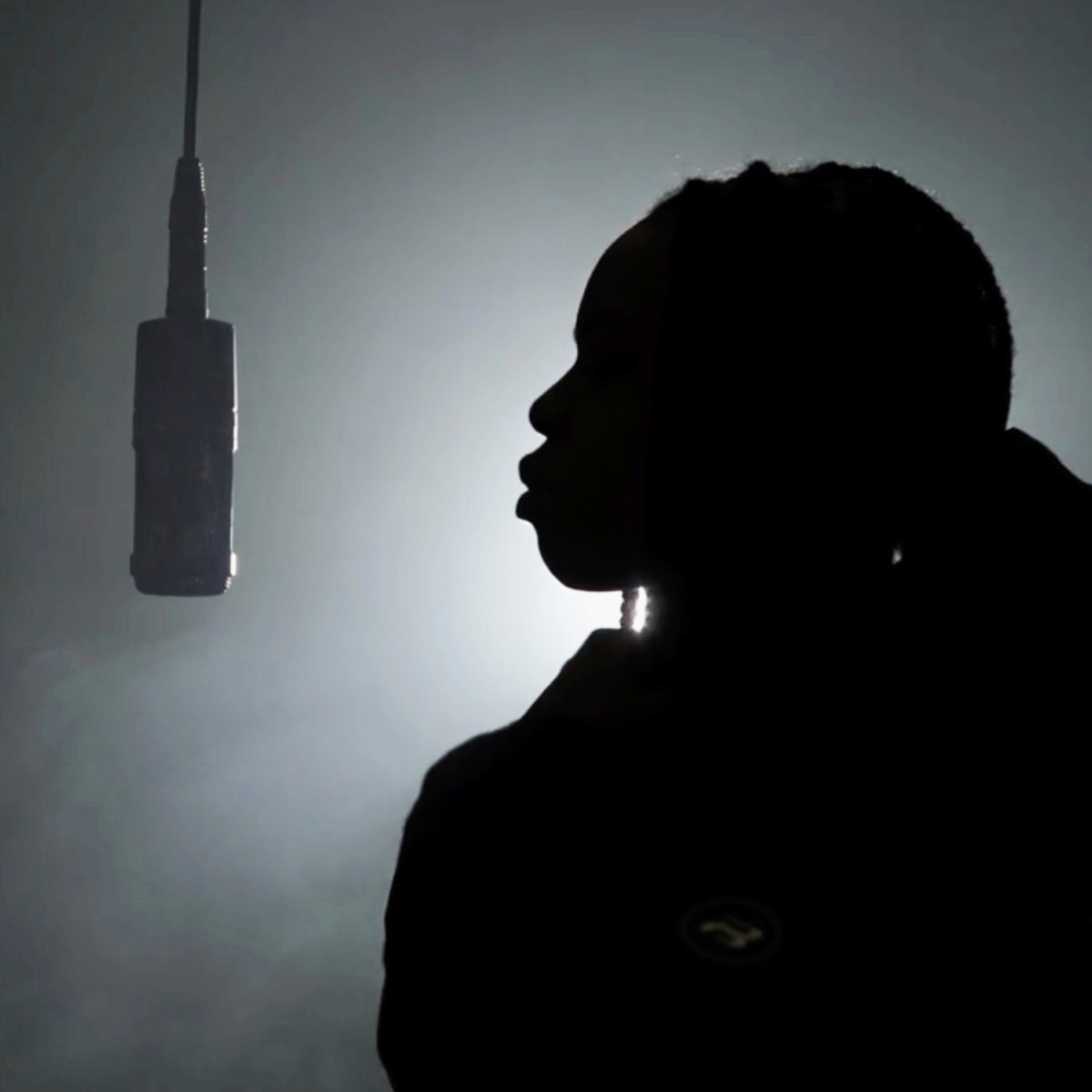 Noir (feat. Opal) - Single by 300MBRES, Nis808 & Blackbrown album cover