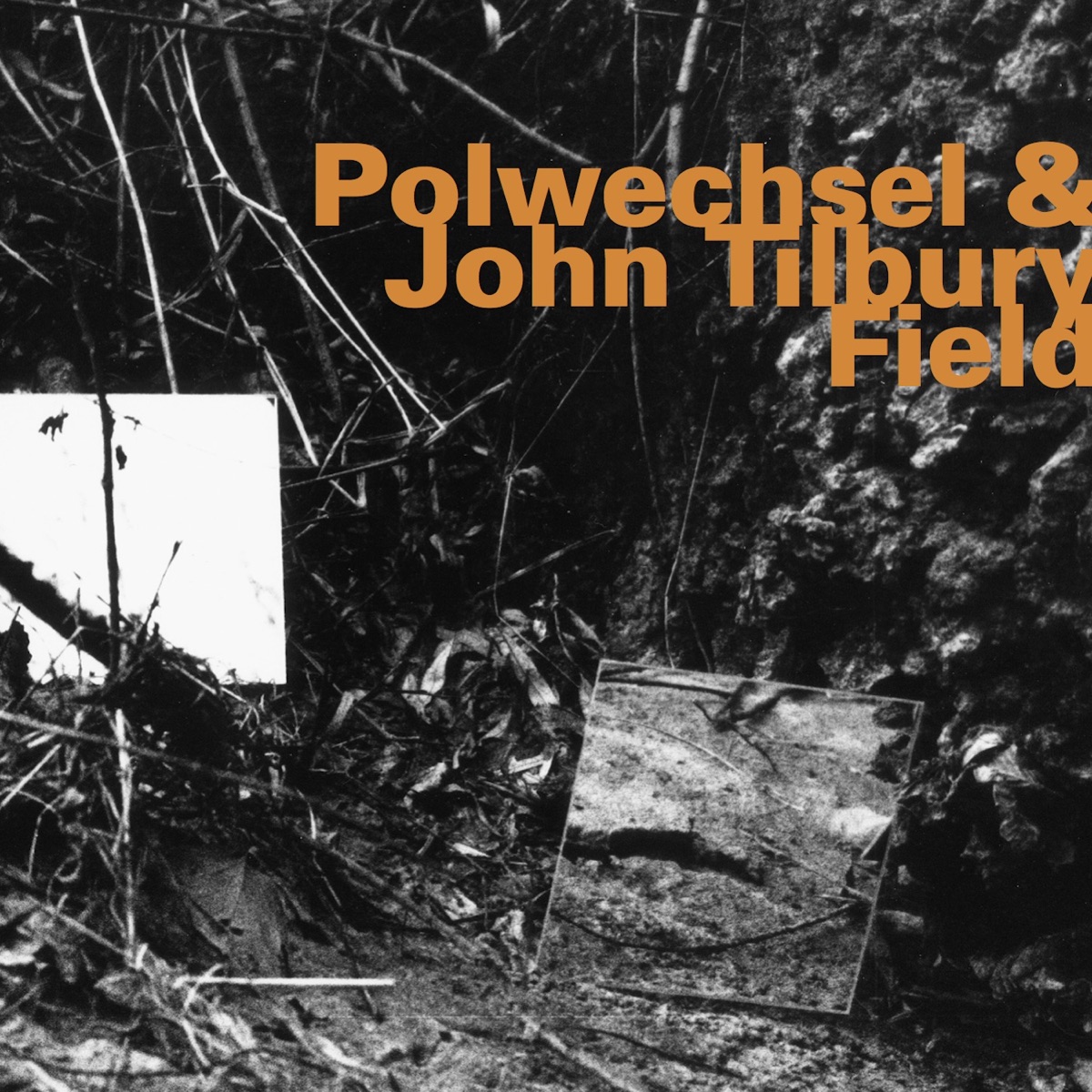 Field by Polwechsel & John Tilbury Field album cover