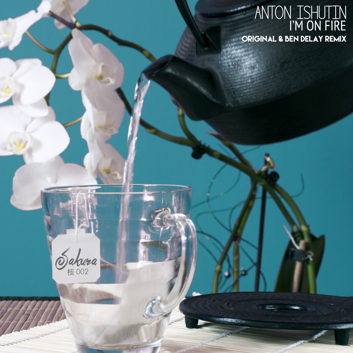 I'm On Fire - Single by Anton Ishutin album cover