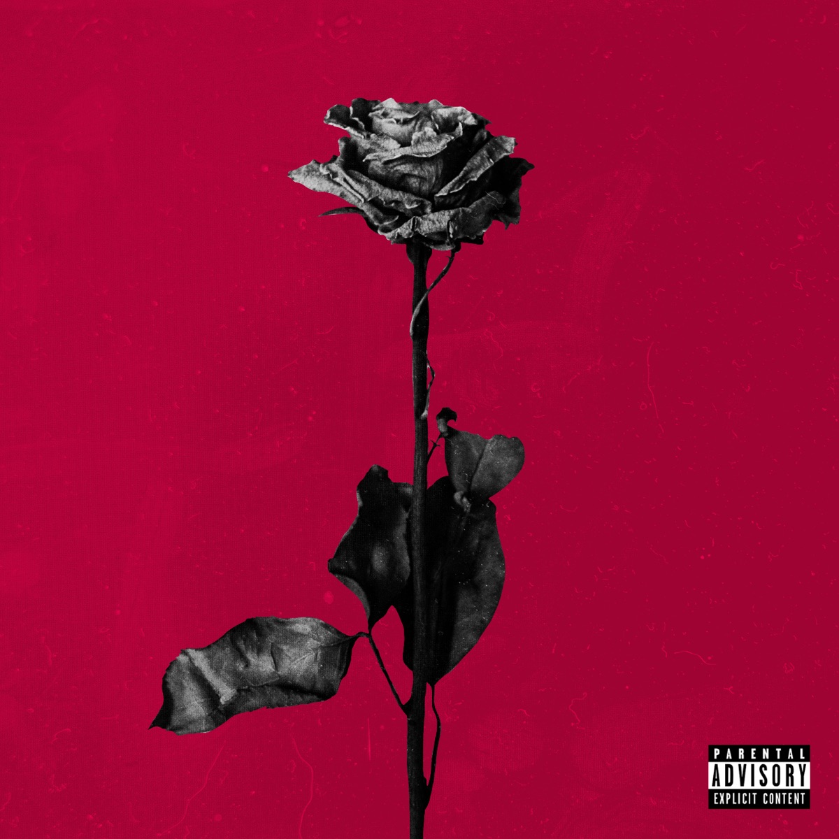 deadroses by blackbear album cover