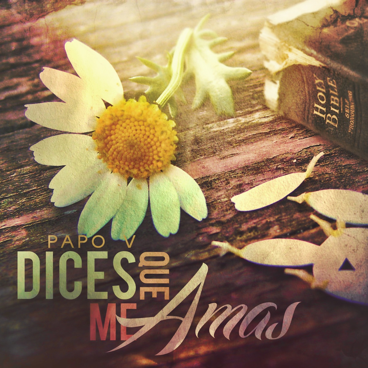 Dices Que Me Amas - Single by Papo V album cover