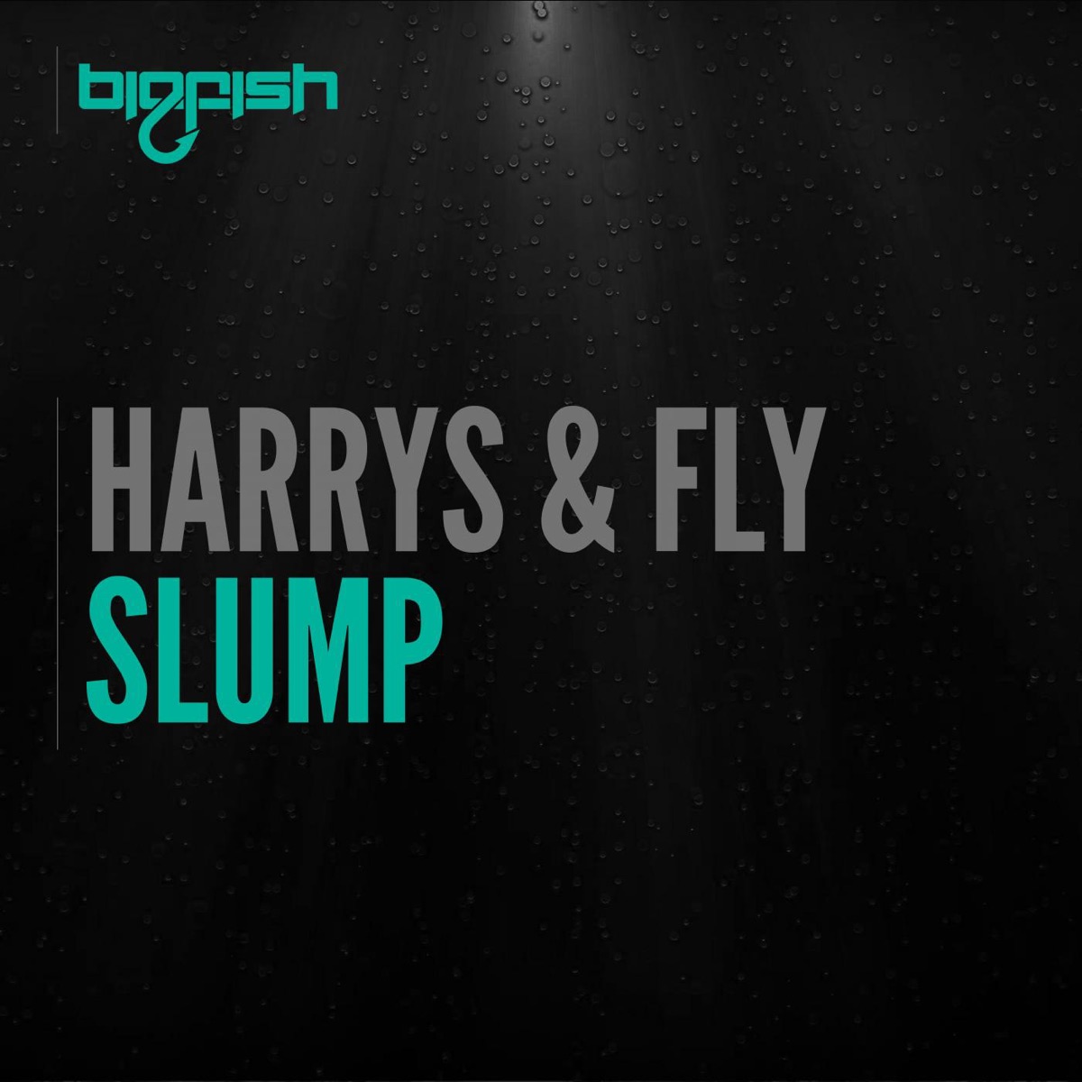 Slump - Single by Harrys & Fly album cover