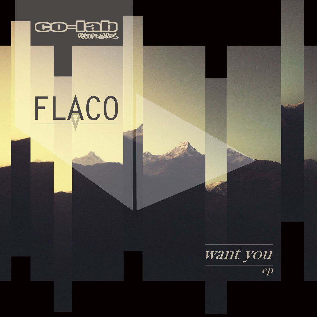 Want You - EP by Flaco album cover