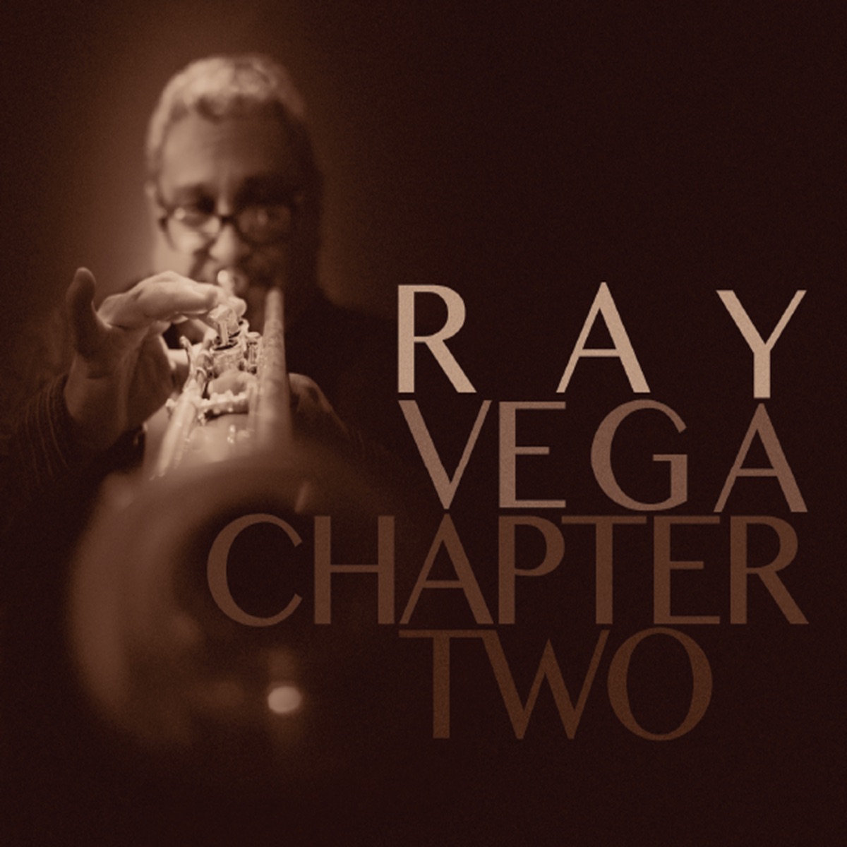 Chapter Two by Ray Vega album cover