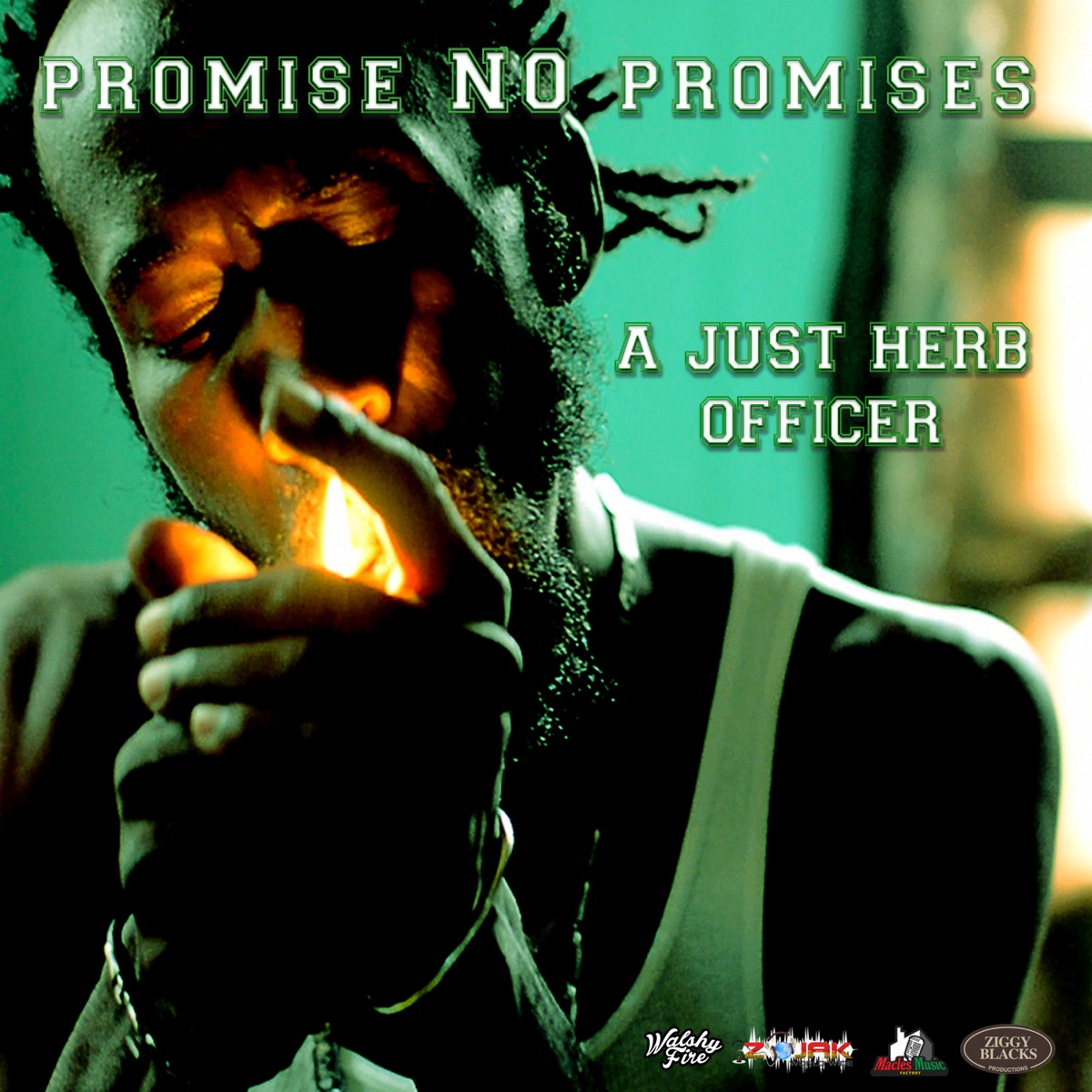 A Just Herb Officer - Single by Promise No Promises album cover