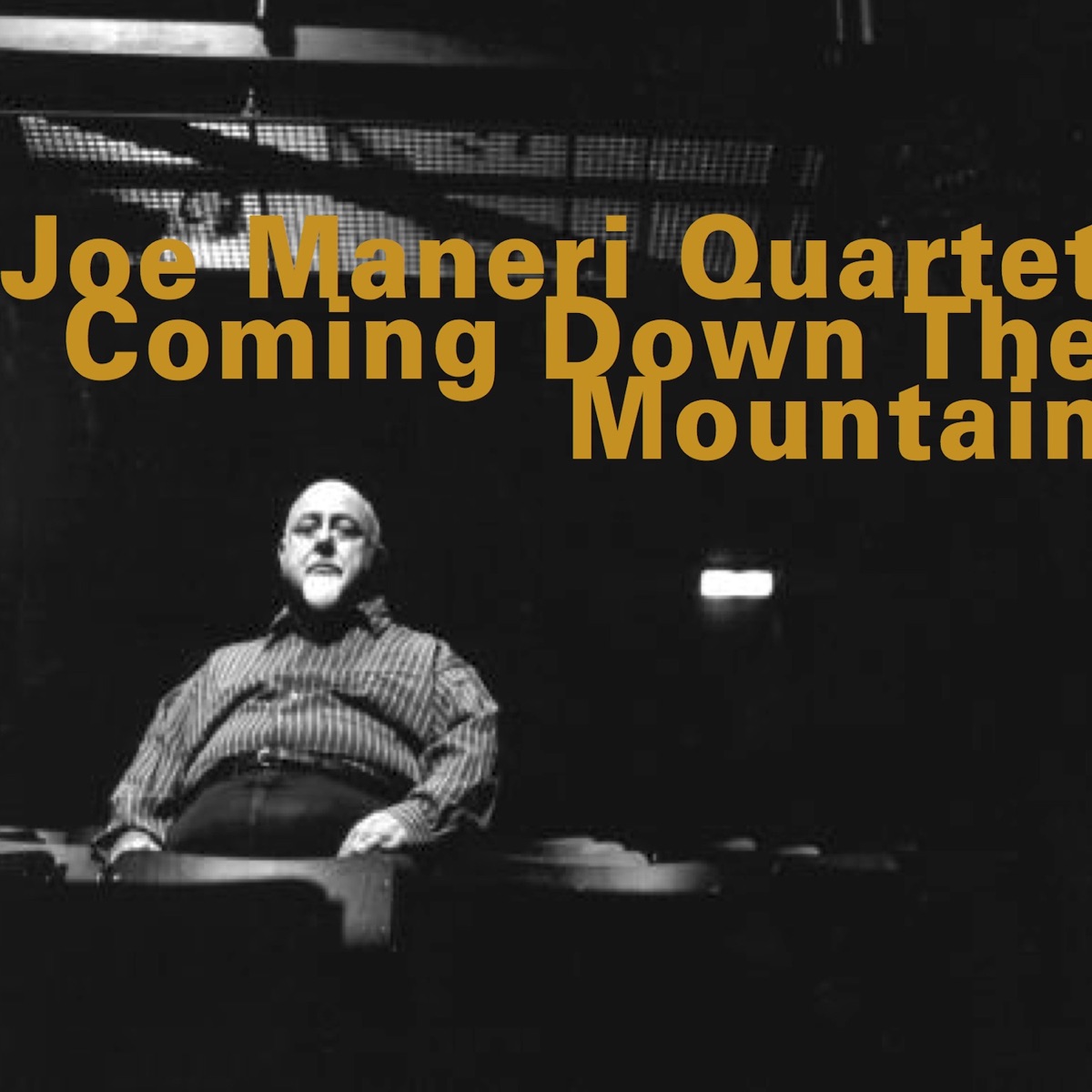 Coming Down the Mountain (feat. Joe Maneri, Mat Maneri, Ed Schuller & Randy Peterson) by Joe Maneri Quartet album cover