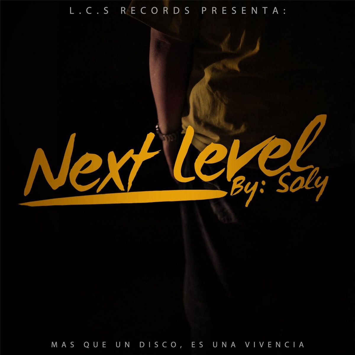 Next Level by Soly album cover